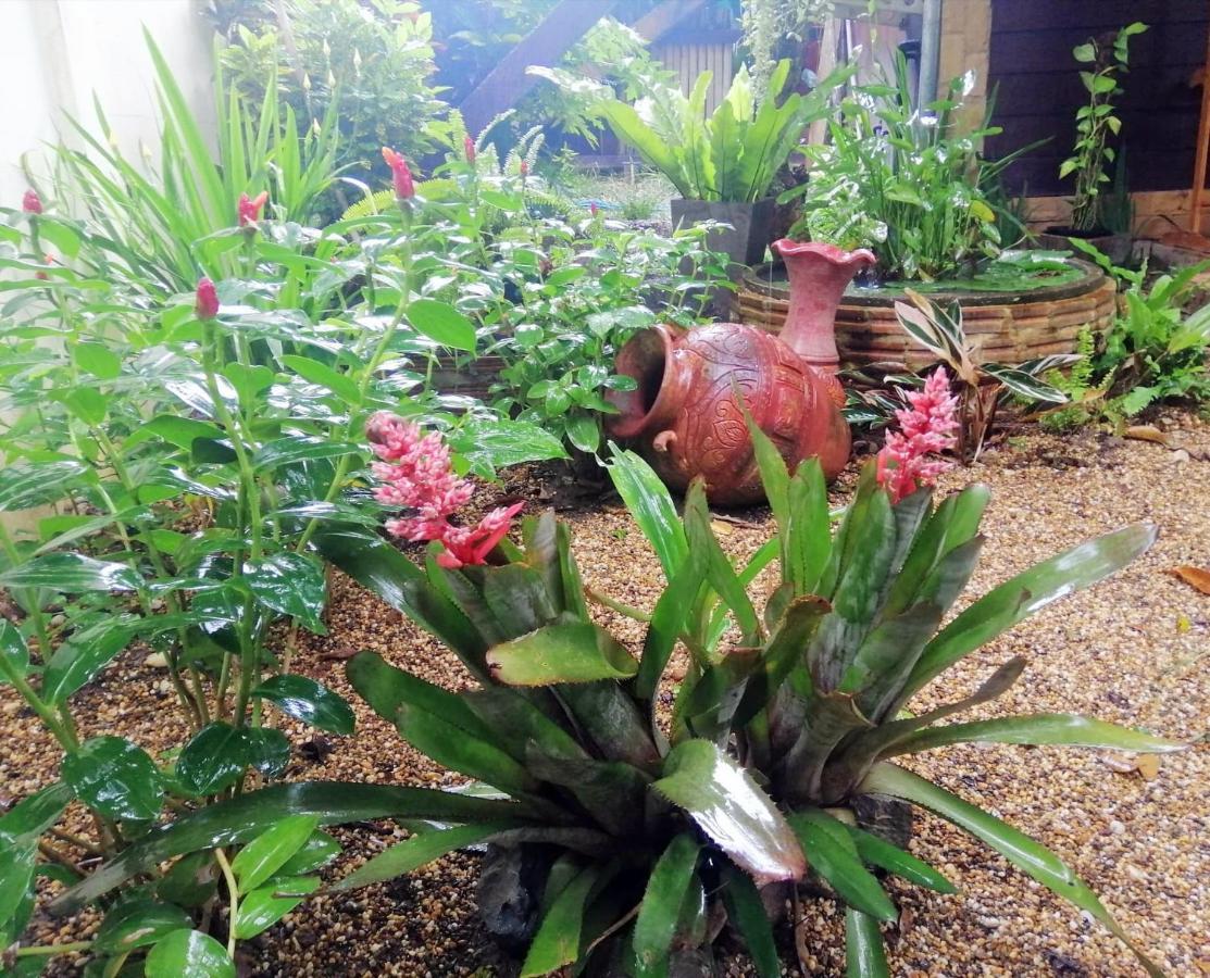 Homestay Chiangrai Chiang Rai Exteriör bild