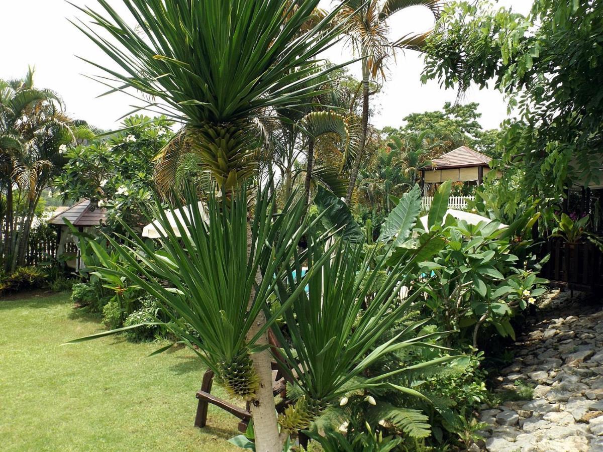 Homestay Chiangrai Chiang Rai Exteriör bild